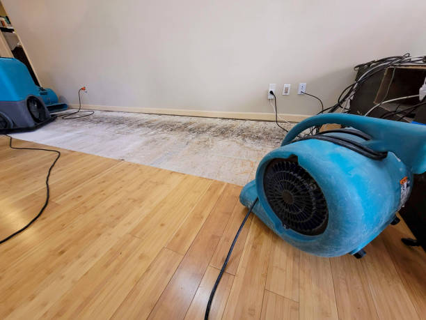 Professional Burst Pipe Water Damage technician working in Holland, OH